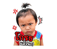 853560011