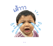 853560044