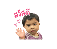 853560054