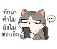 853560454