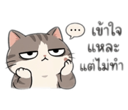 853560460