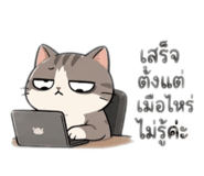 853560464