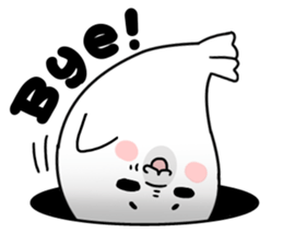 8535605