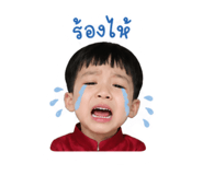 853561217