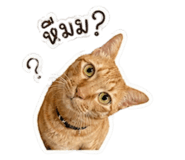 853561671