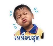 853561902