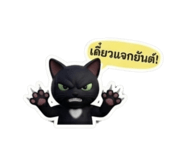 853562025