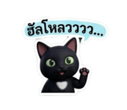 853562039