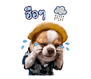 853562103