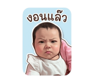 853562261