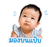 853562398