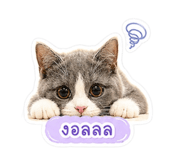 853562572