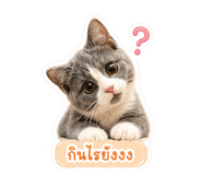 853562578