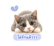 853562579