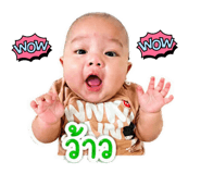 853562594