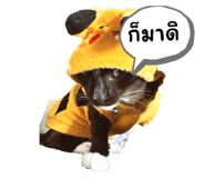853562641