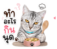 853562658