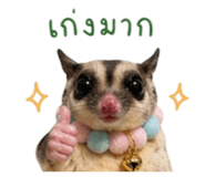 853562816