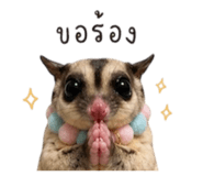 853562819