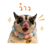 853562821