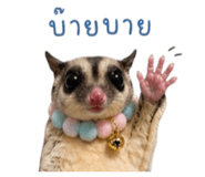853562824