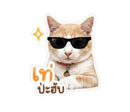 853562835