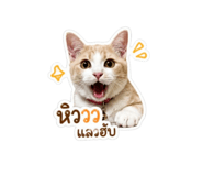 853562839