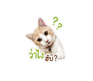 853562840