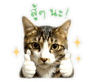 853562862