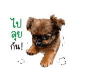 853564005