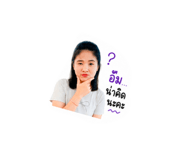 853564080