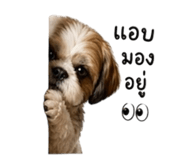 853564203
