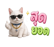 853564845