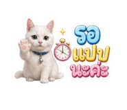 853564848