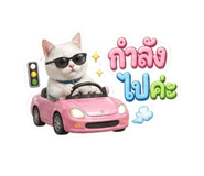 853564852