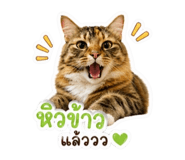 853566140