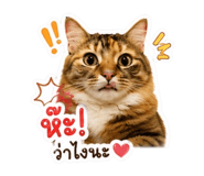 853566144