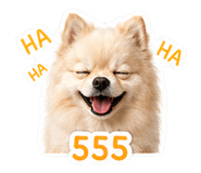 853566217