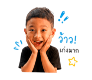 853566650