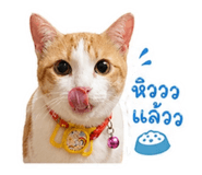 853567222