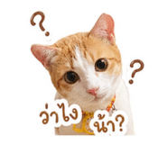 853567226