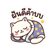 853568366
