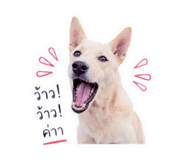 853568455