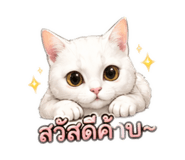 853568521