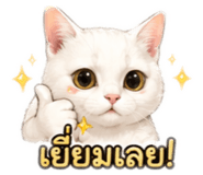 853568524