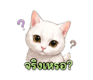 853568537