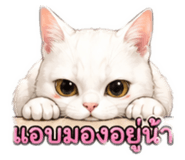 853568539