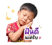 853569256