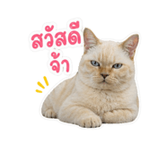 853569353