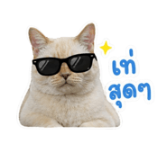 853569354